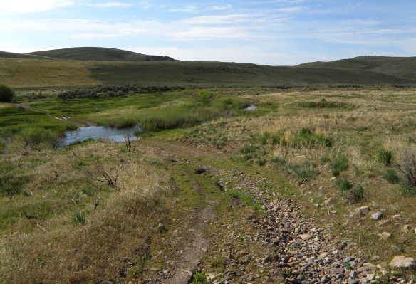 Rock Creek today - the course of the creek has changed - in the 60s the creek was about 50 feet further back. Our camp was on the other side of the creek nestled in against the tall sagebrush.